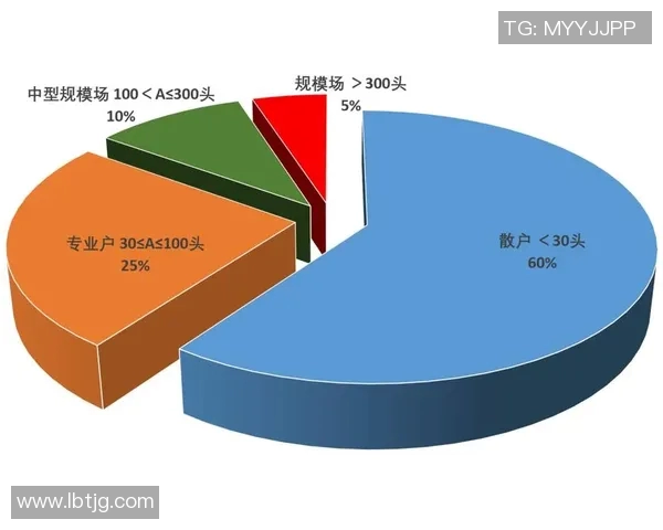 武汉篮球队团队协作深度对比分析及其影响因素探讨