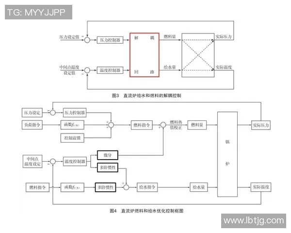 北京极限运动队的控制策略与成效分析及未来发展展望