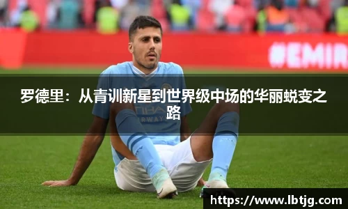 3377体育