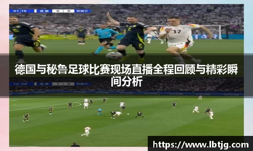 3377体育首页